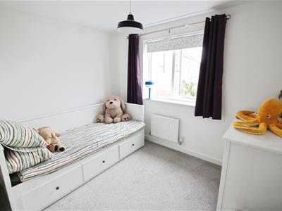 Picture 13